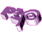 PLP